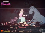End of the magic