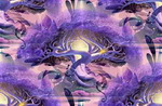 Disney Fairies