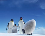 Happy Feet