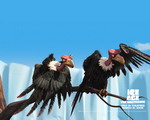 Ice Age 2