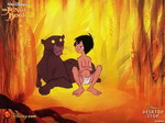 Bahgheera and Mowgli