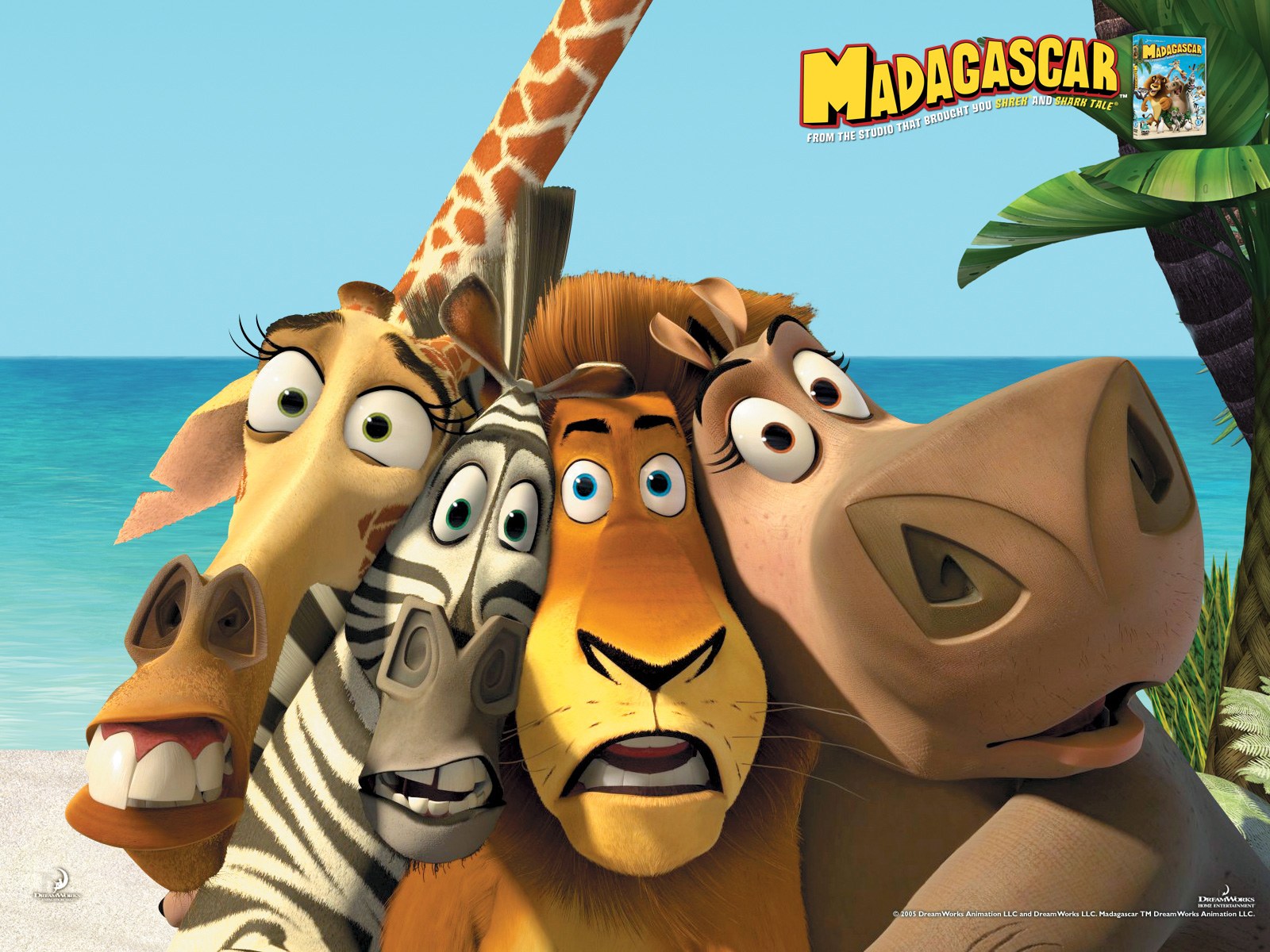 Image result for madagascar