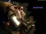 Matrix