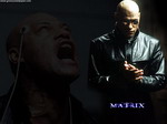 Matrix