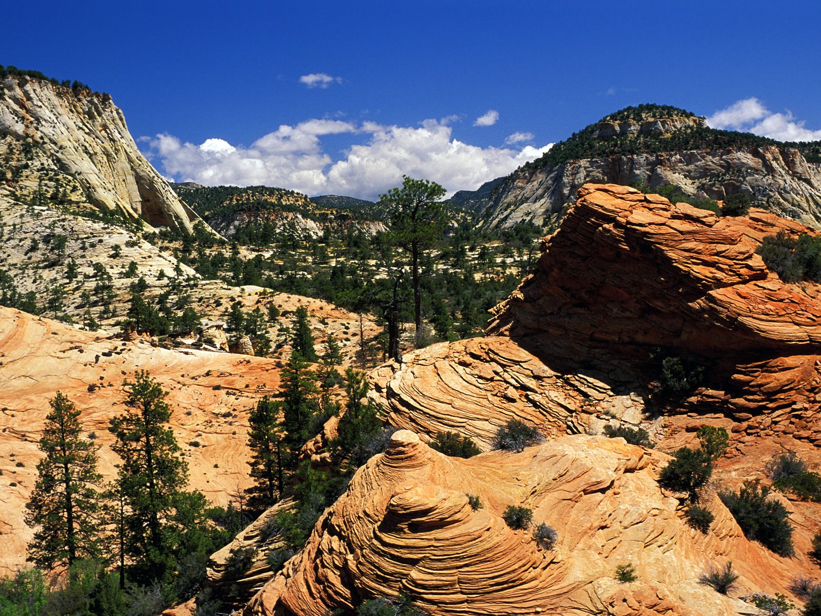 Kids-n-fun | Wallpaper swirling sandstone formations, zion