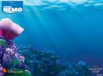 Finding Nemo