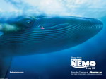 Nemo and the Whale