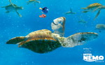The sea turtle