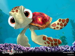 Little seaturtle