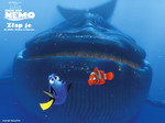 The Whale