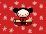 Pucca