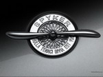 Spijker embleem