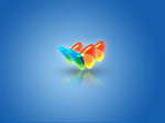 MSN