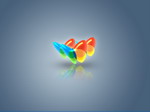MSN