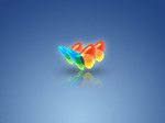 MSN