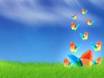 MSN Bliss