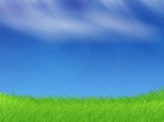 Simple Bliss