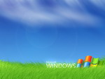 Windows Bliss