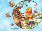 Winnie the Pooh