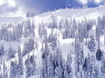 Snowy mountains