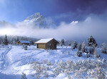 Cabin