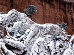 Frozen rocks