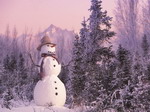 Snow man