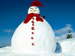 Snow man