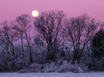 Full moon