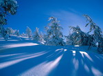 Shadows in the snow