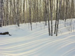Aspen