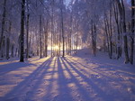 Winter sunset