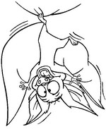 coloring page Anastasia