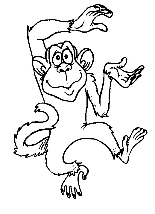 Kids-n-fun.com | 34 coloring pages of Monkeys