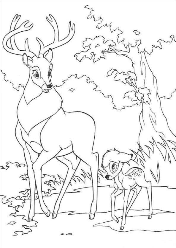 Kids-n-fun.com | 29 coloring pages of Bambi 2