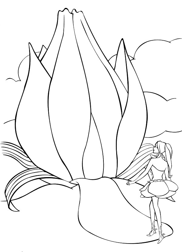 Kids Fun 21 Coloring Pages Barbie Fairytopia Rainbow