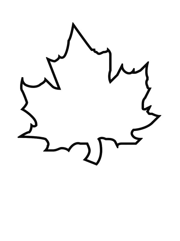 Kidsnfun.com  39 coloring pages of Leaves