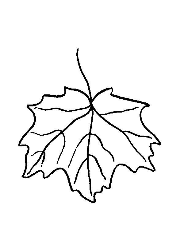 Kids-n-fun.com | 39 coloring pages of Leaves