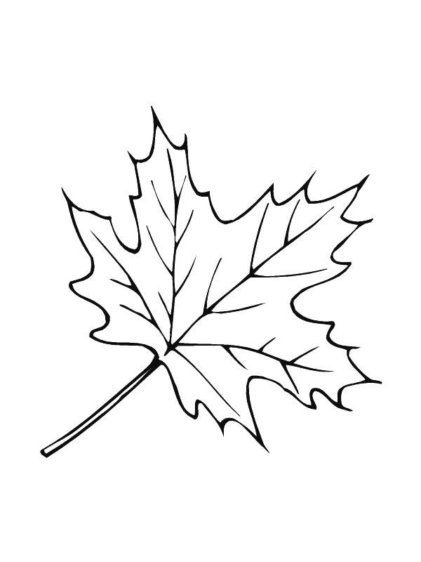 Kids-n-fun.com | 39 coloring pages of Leaves