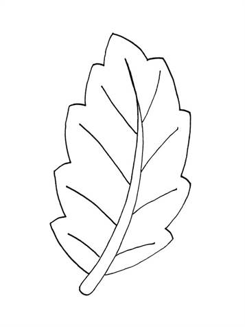 Kids-n-fun.com | 39 coloring pages of Leaves