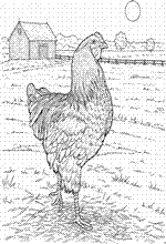 coloring page On the farm