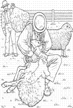 coloring page On the farm