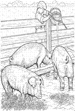 coloring page On the farm