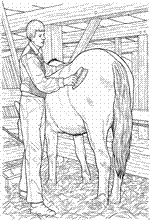 coloring page On the farm