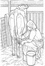 coloring page On the farm