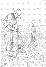 coloring page On the farm