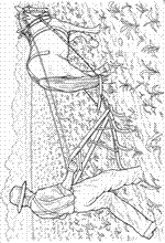 coloring page On the farm
