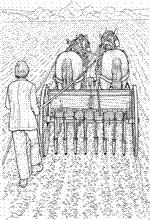 coloring page On the farm