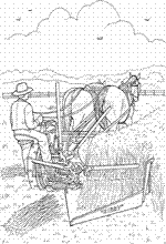 coloring page On the farm