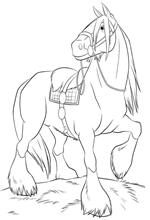 coloring page Angus